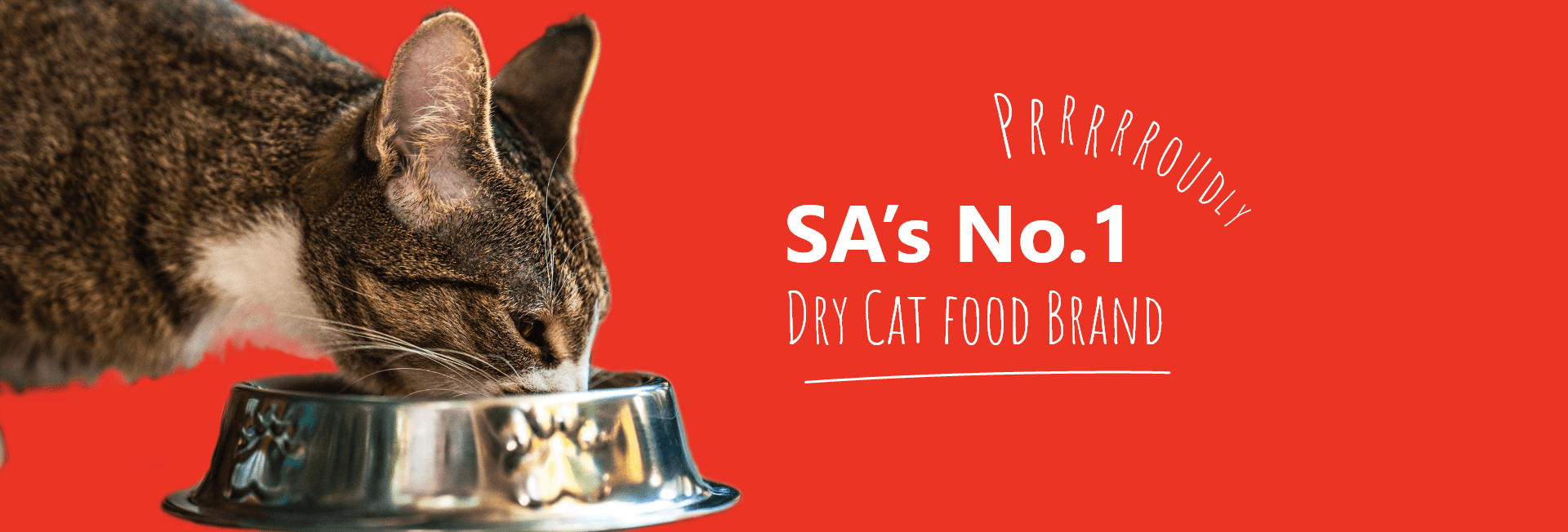Chicken Flavour – Dry Food | Catmor